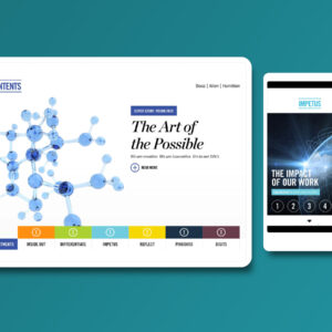 Booz Allen Momentum publication Table of Contents and Impetus